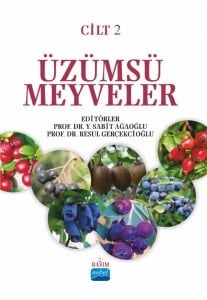 Üzümsü Meyveler