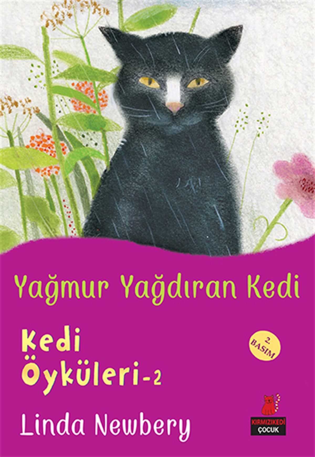 Yağmur Yağdıran Kedi