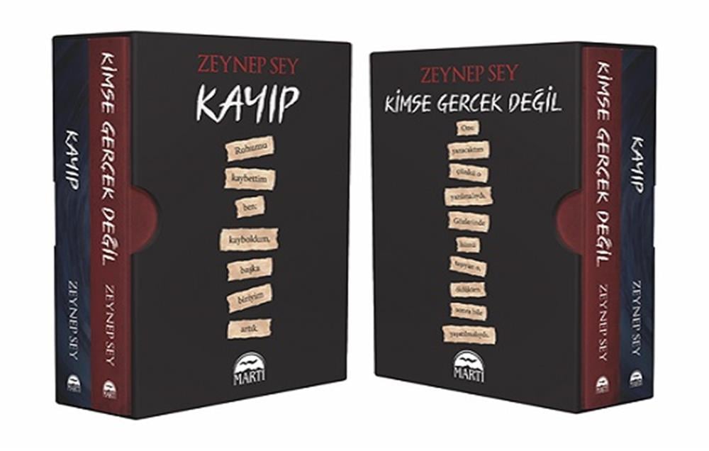 Yaralı Şifacı Serisi (Karton Kapak Kutulu)
