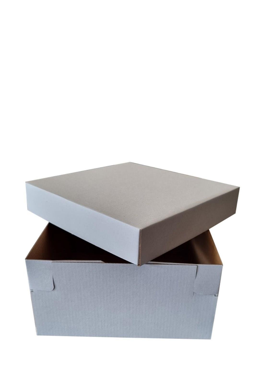 20x20x10 BEYAZ KUTU KAPAK TAKIM