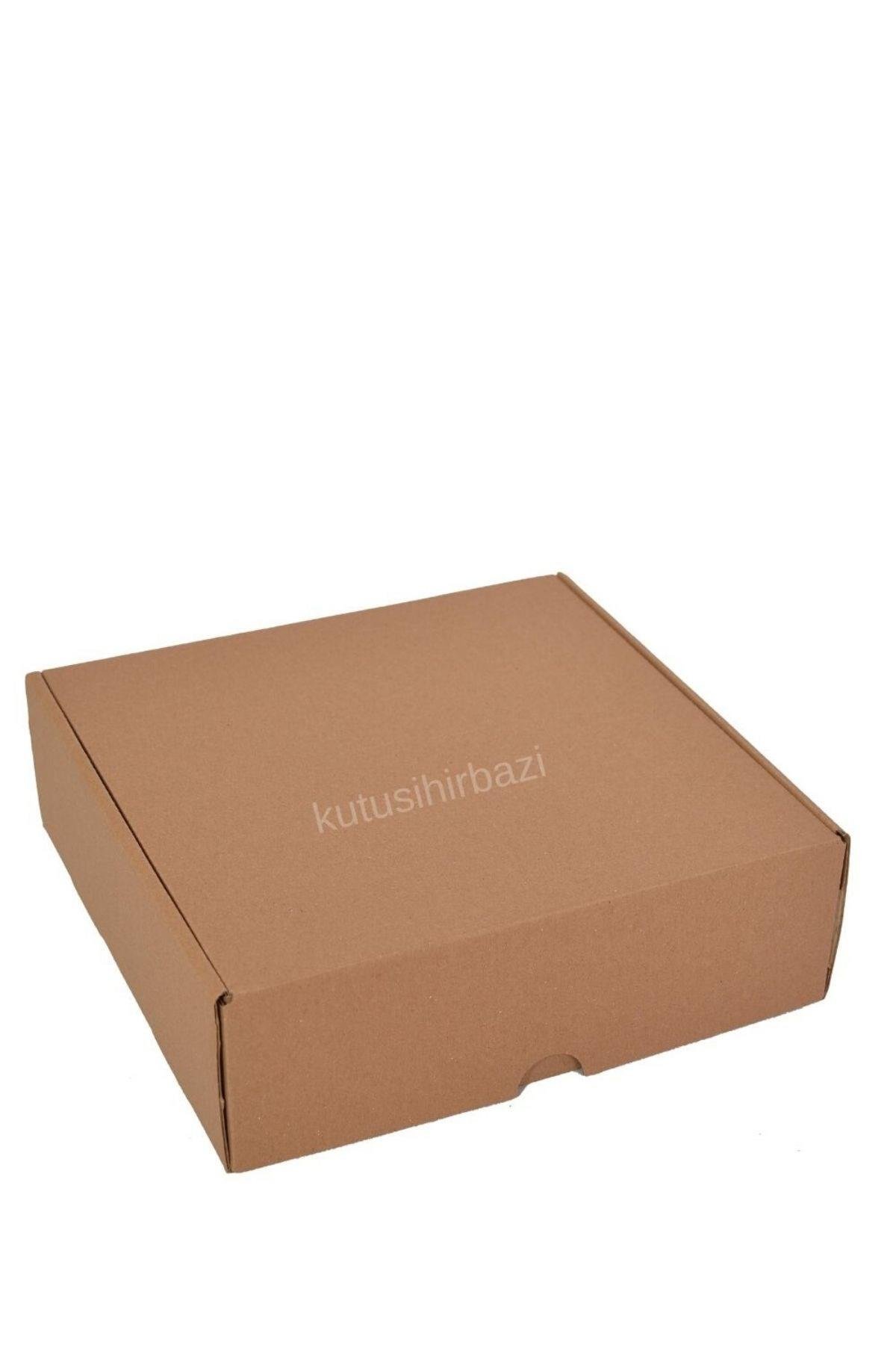 21x20x6.5 KAPAKLI KUTU