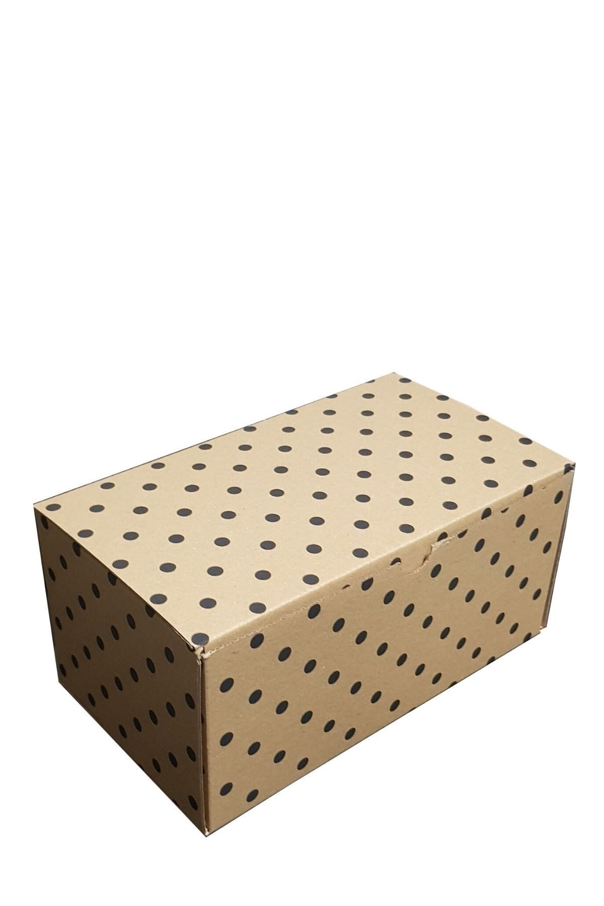 22x13x10 KAPAKLI KUTU