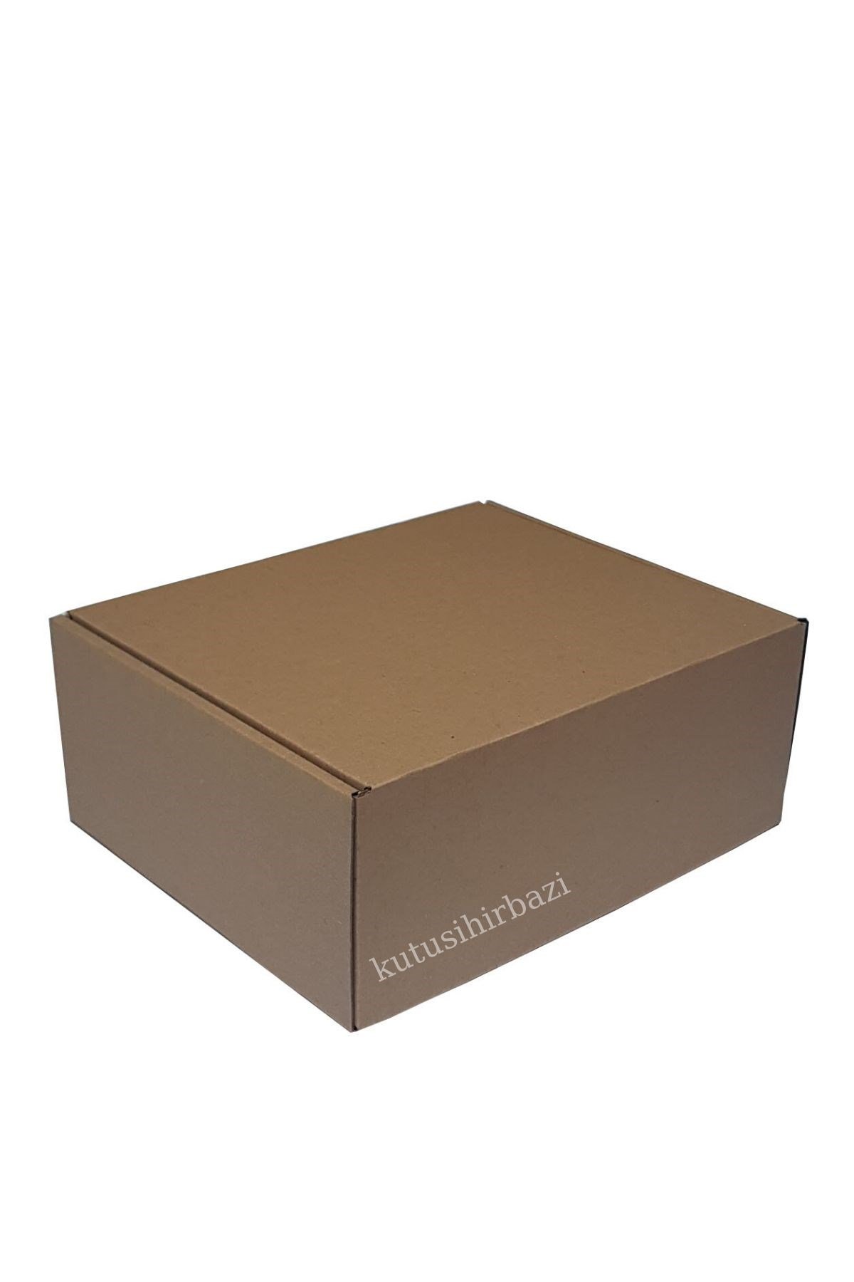 25x20x10 KAPAKLI KUTU