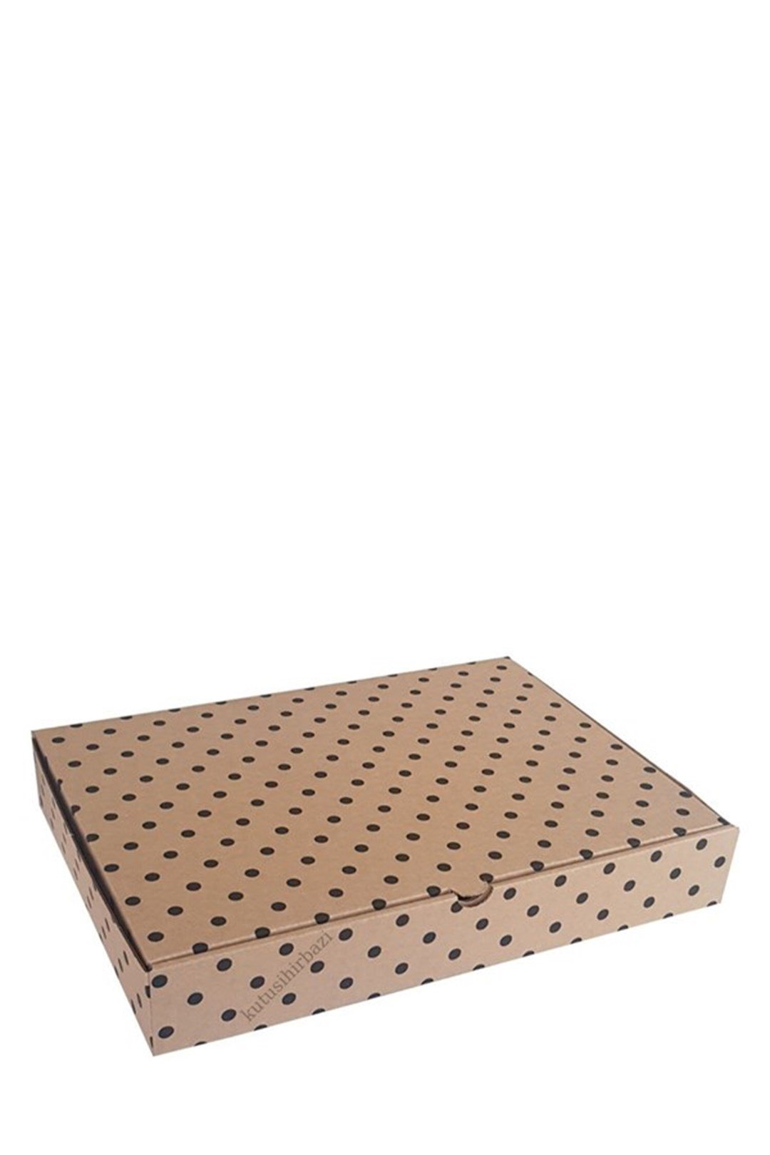 31x23x5 KAPAKLI KUTU