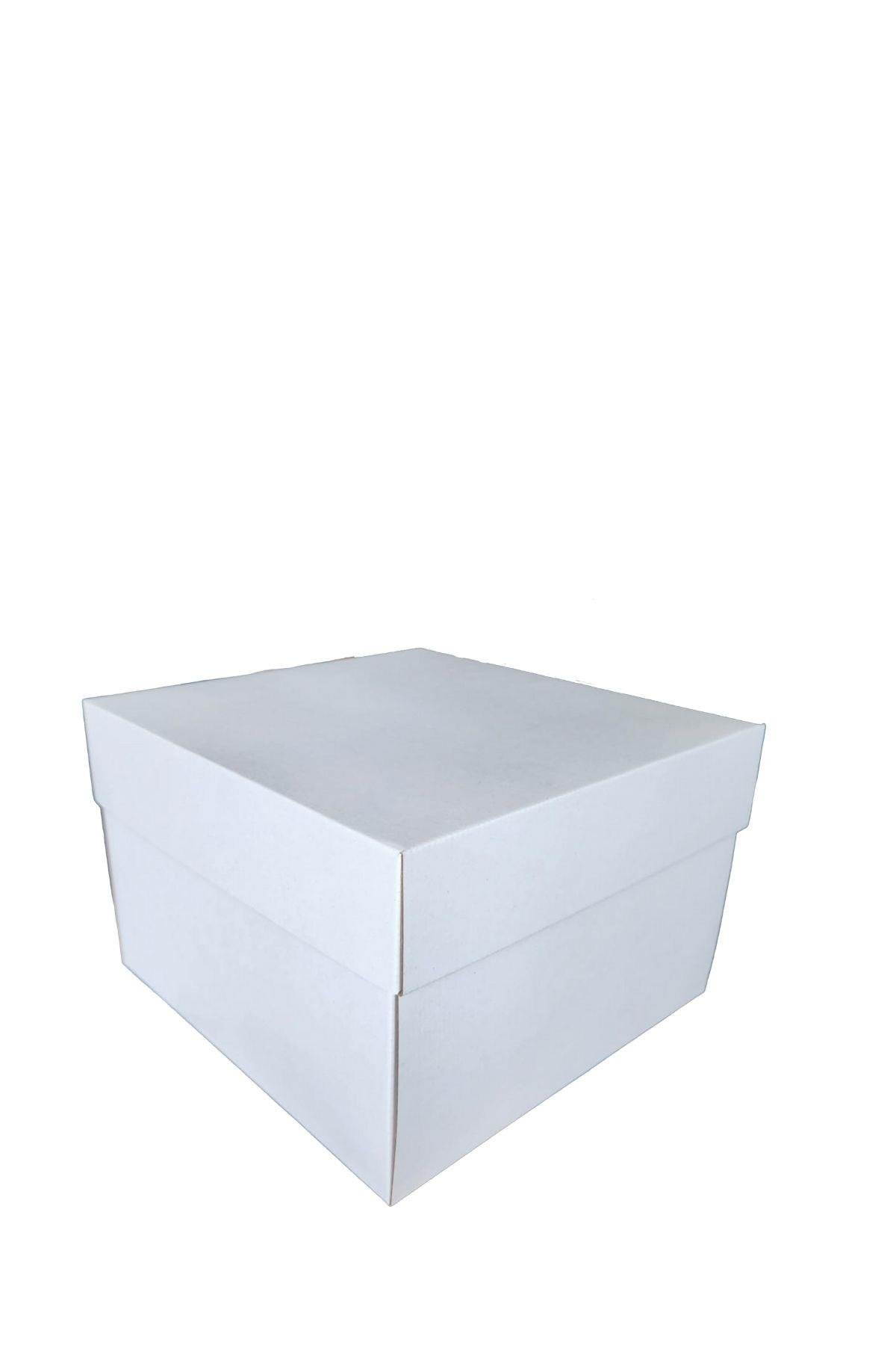 BEYAZ 30x30x20 KUTU KAPAK TAKIM