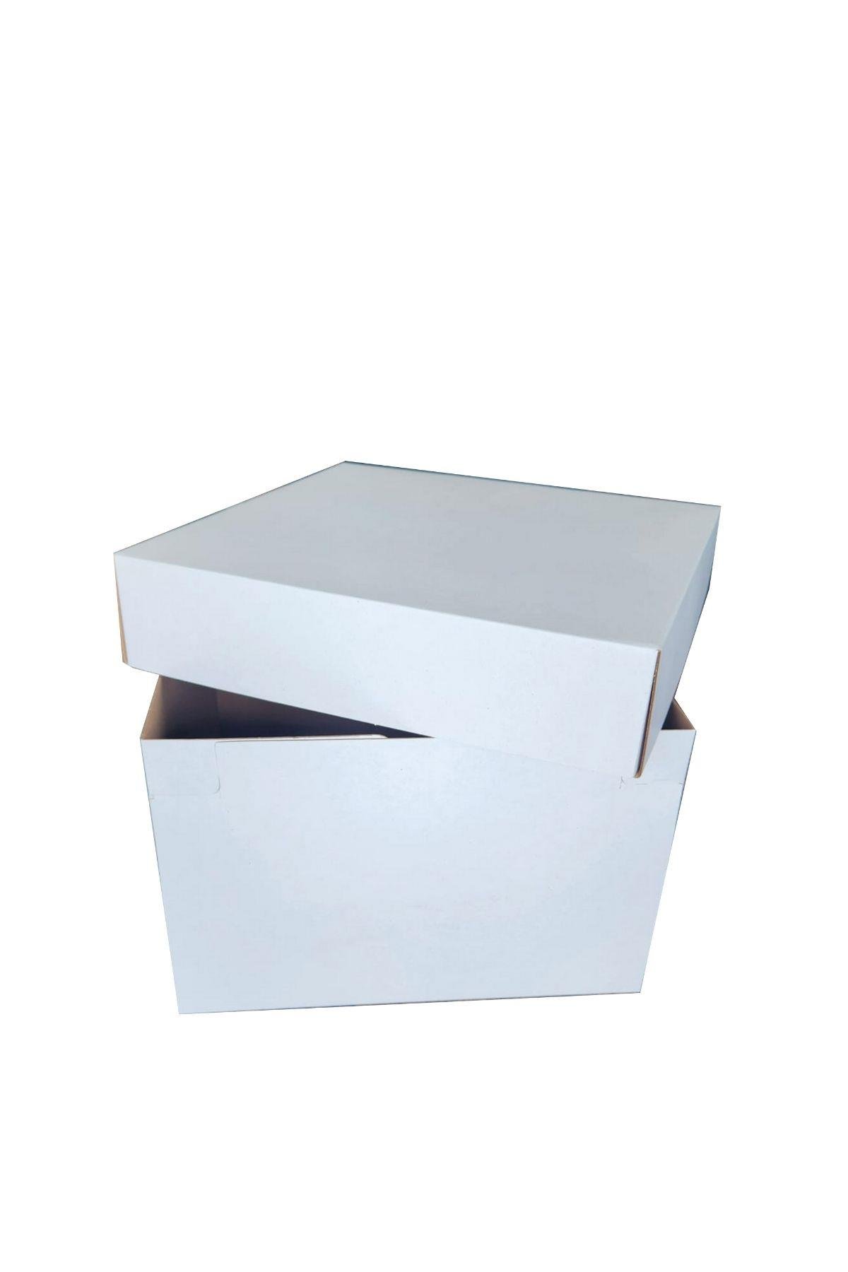 BEYAZ 30x30x20 KUTU KAPAK TAKIM