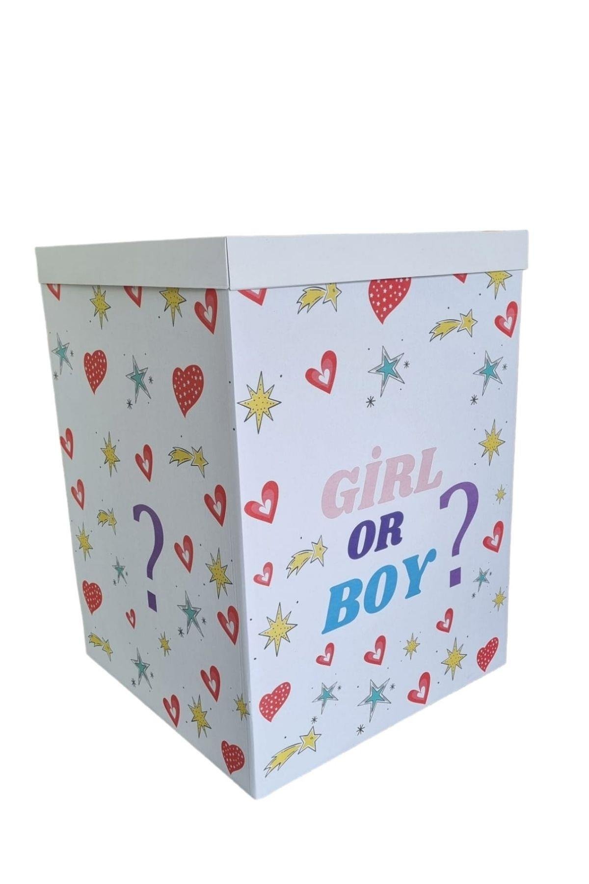 CİNSİYET PARTİSİ KUTUSU