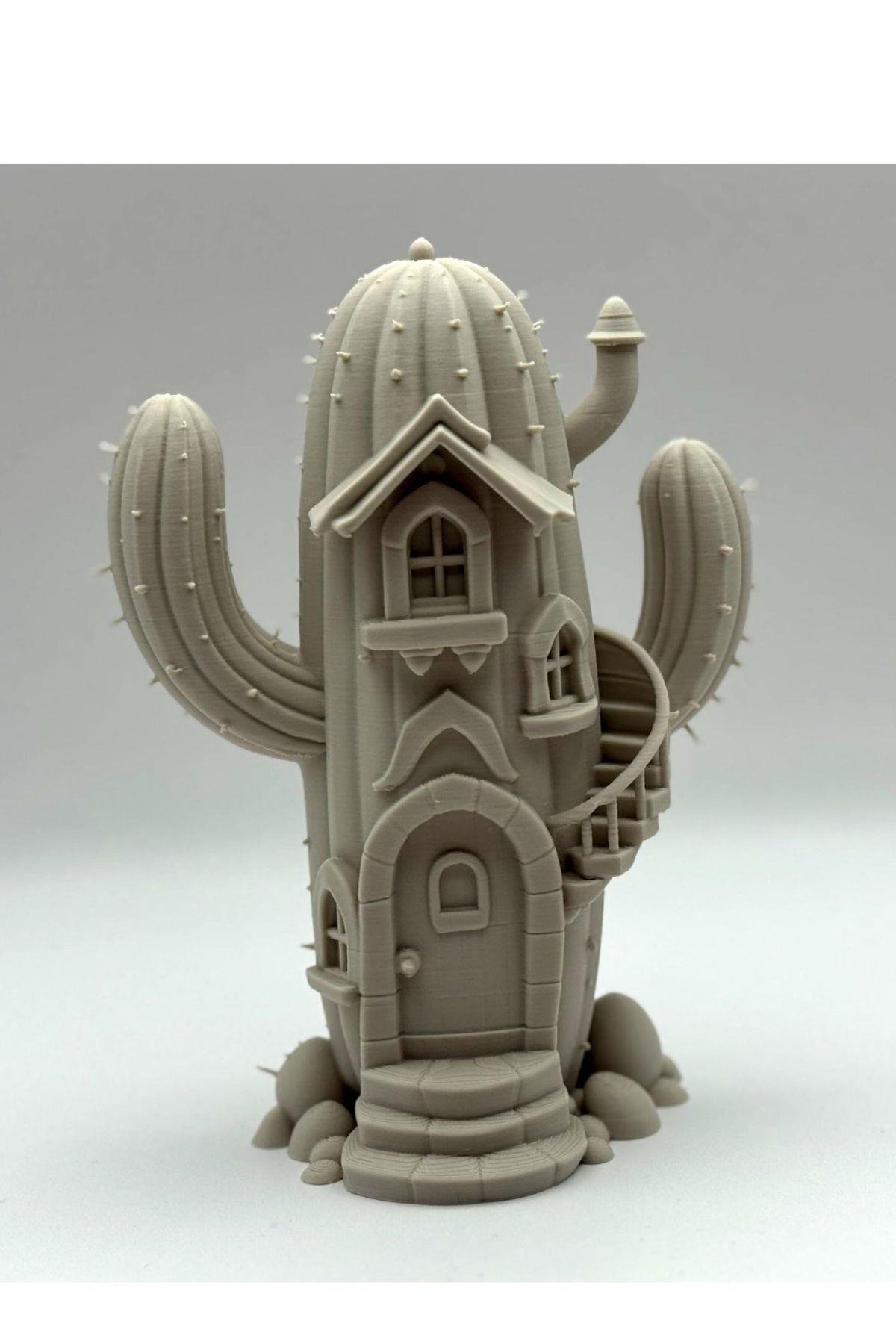 KAKTÜS EV FİGÜR