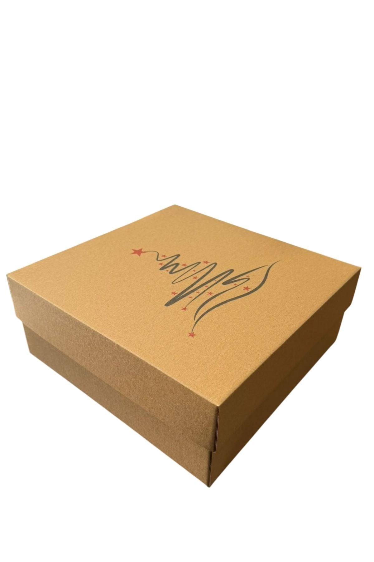 YILBAŞI SERİSİ 25x25x10