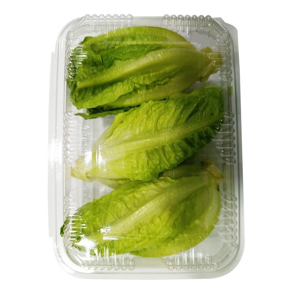 Mini Yedikule (3'lü paket) Tazemasa