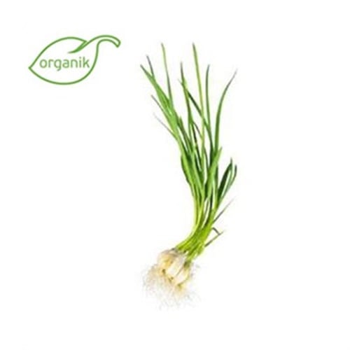 Organik Taze Sarımsak (demet) **