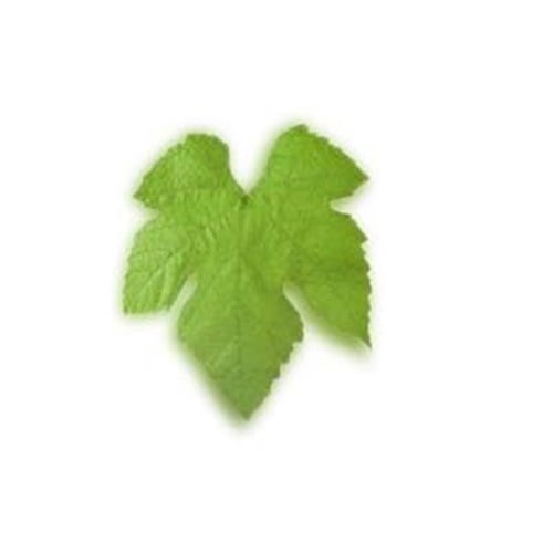 Taze Yaprak, Manisa (500 gr)