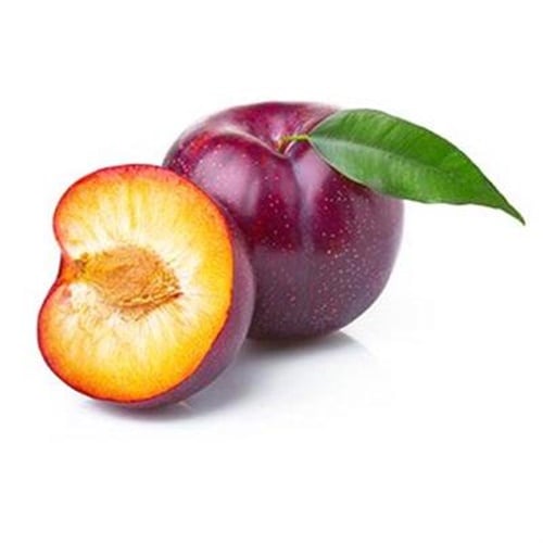 Erik Angelika, Bursa (kg)