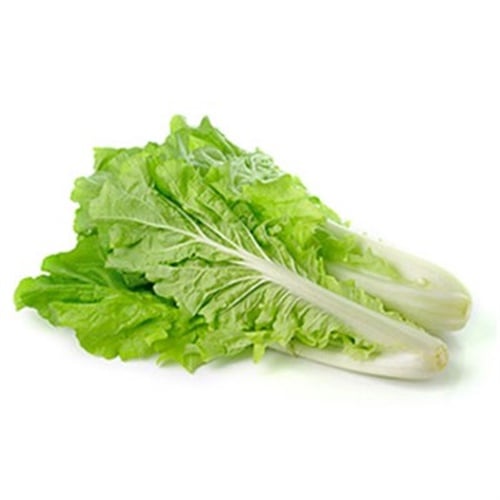 Marul, Beypazarı (adet)