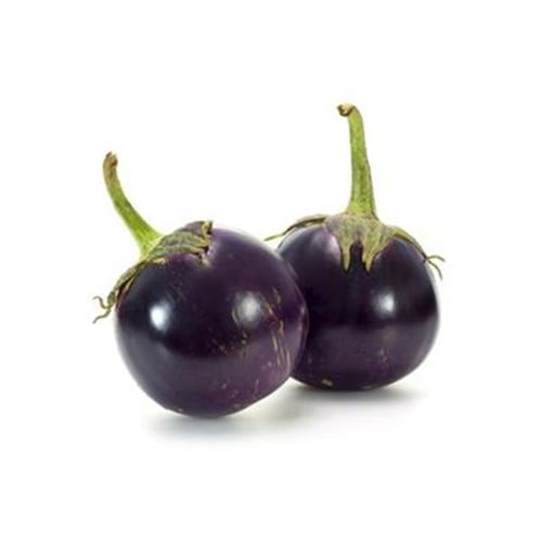 Bostan Patlıcan - Bursa (kg)