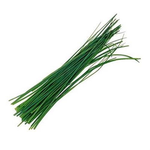 Frenk Soğanı, Antalya-Chimera (25 gr,paket)