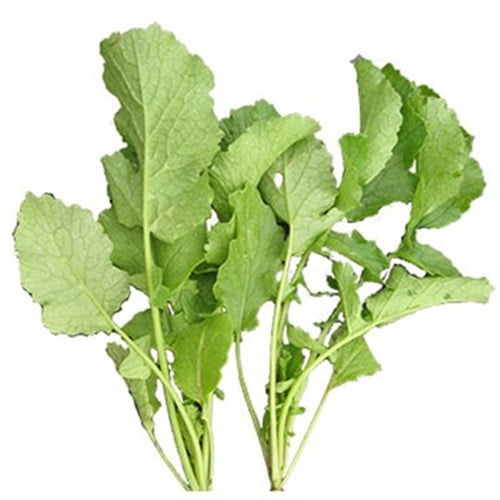 Turp Yaprağı (demet)