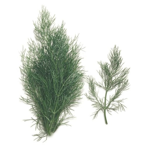 Arap Saçı Otu, Antalya (250 gr), Erüst