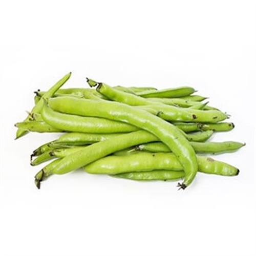 Bakla , Yalova (500 gr paket)