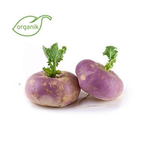 Organik Şalgam Turp (500 gr) **