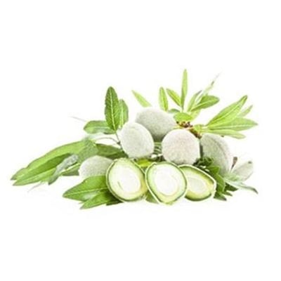 Çağla Badem, Antalya (500 gr)