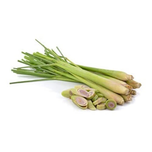 Çatalca Limon Otu (Lemon Grass)