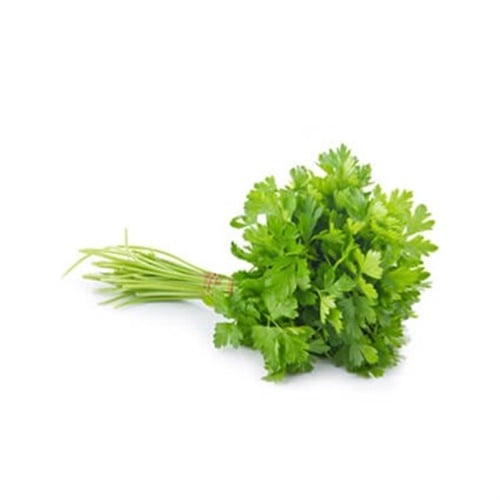 Çatalca Maydanoz (150 gr)