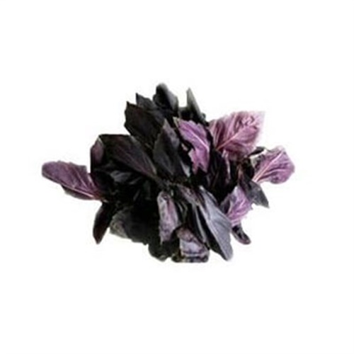 Çatalca Mor Reyhan (125 gr)