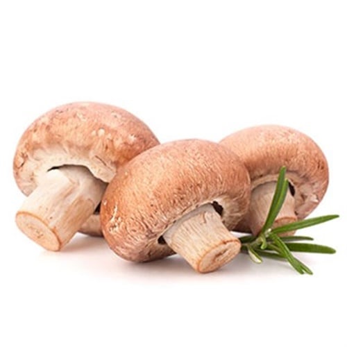 Kültür Mantarı, Antalya (400 gr Paket)