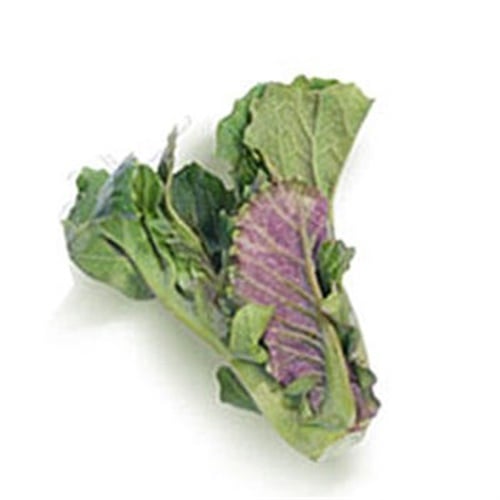 Cibes Otu, 500 gr (Erüst)