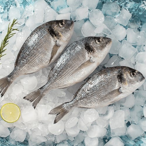 Çipura, Küçük Boy (250 gr) Balık Ye