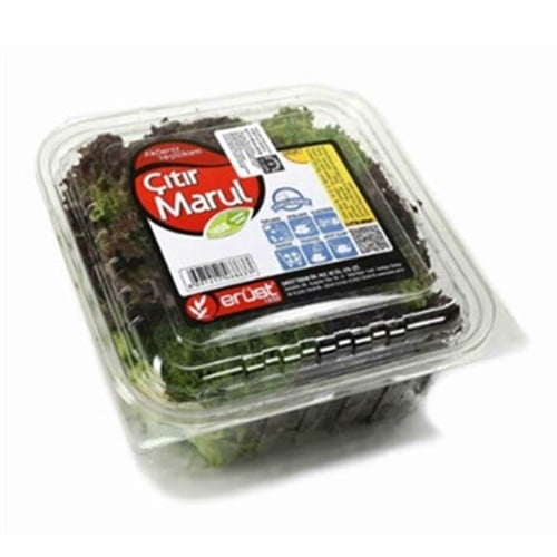 Çıtır Marul, Antalya (100 gr), Erüst 