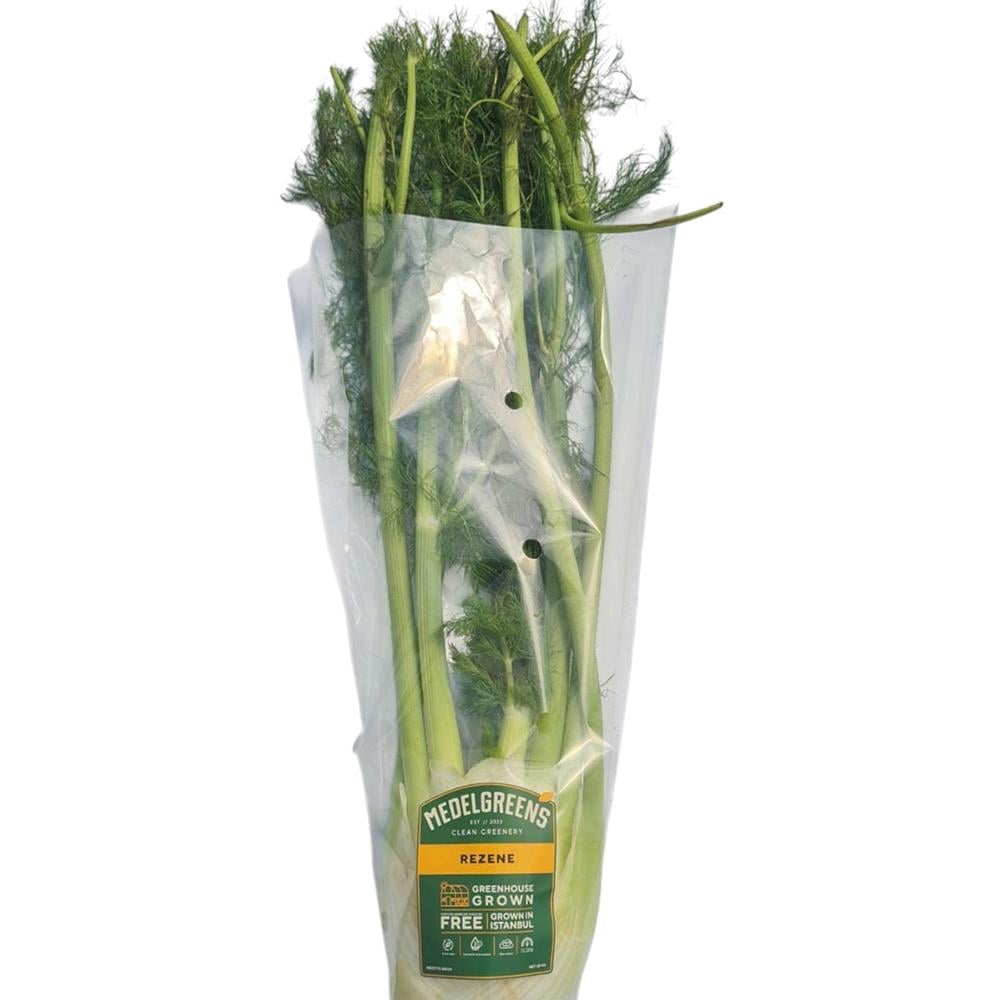 Fençel -Rezene (adet) Medel Greens