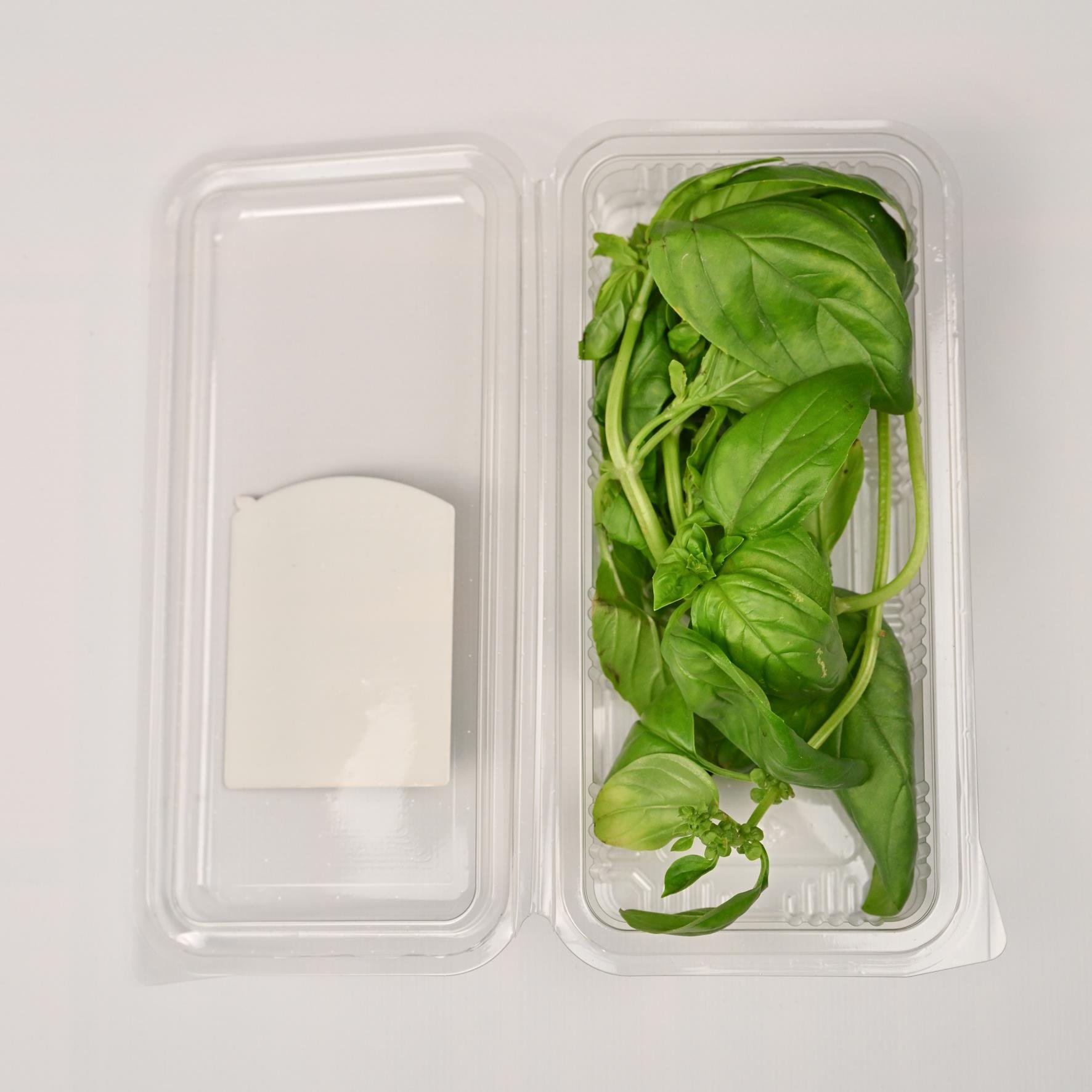 Fesleğen (25 gr) Medel Greens