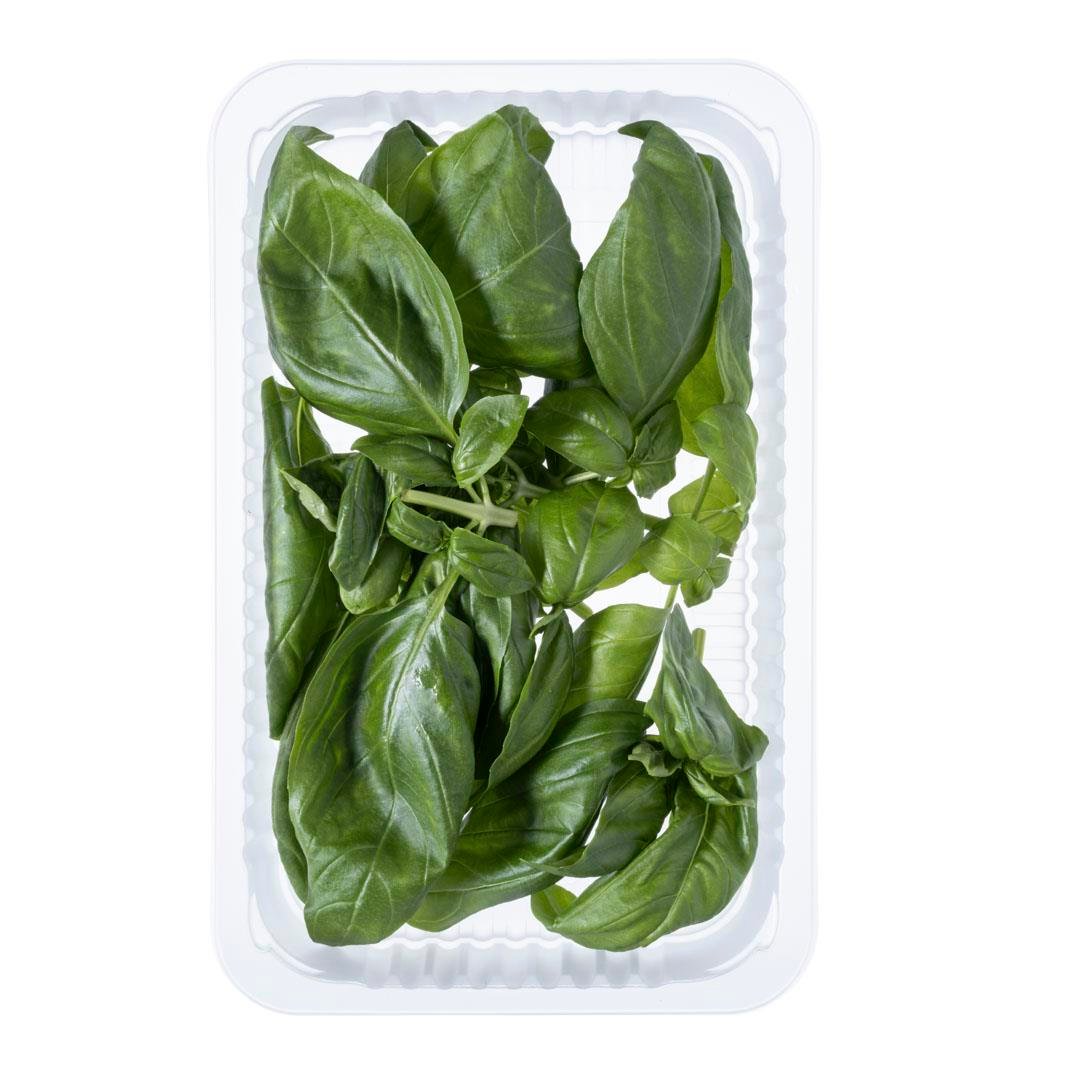 Fesleğen (50 gr) Plant Factory