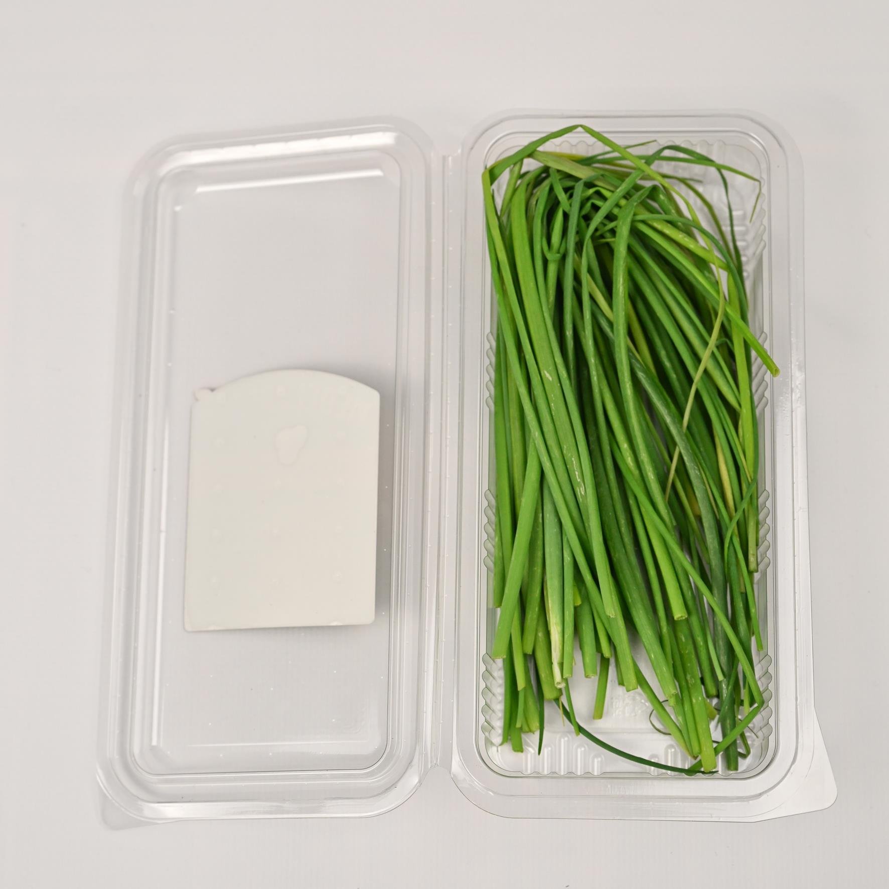 Frenk Maydanozu (25 gr) Medel Greens