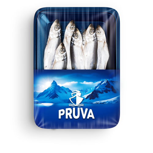 Hamsi (500 gr) Pruva