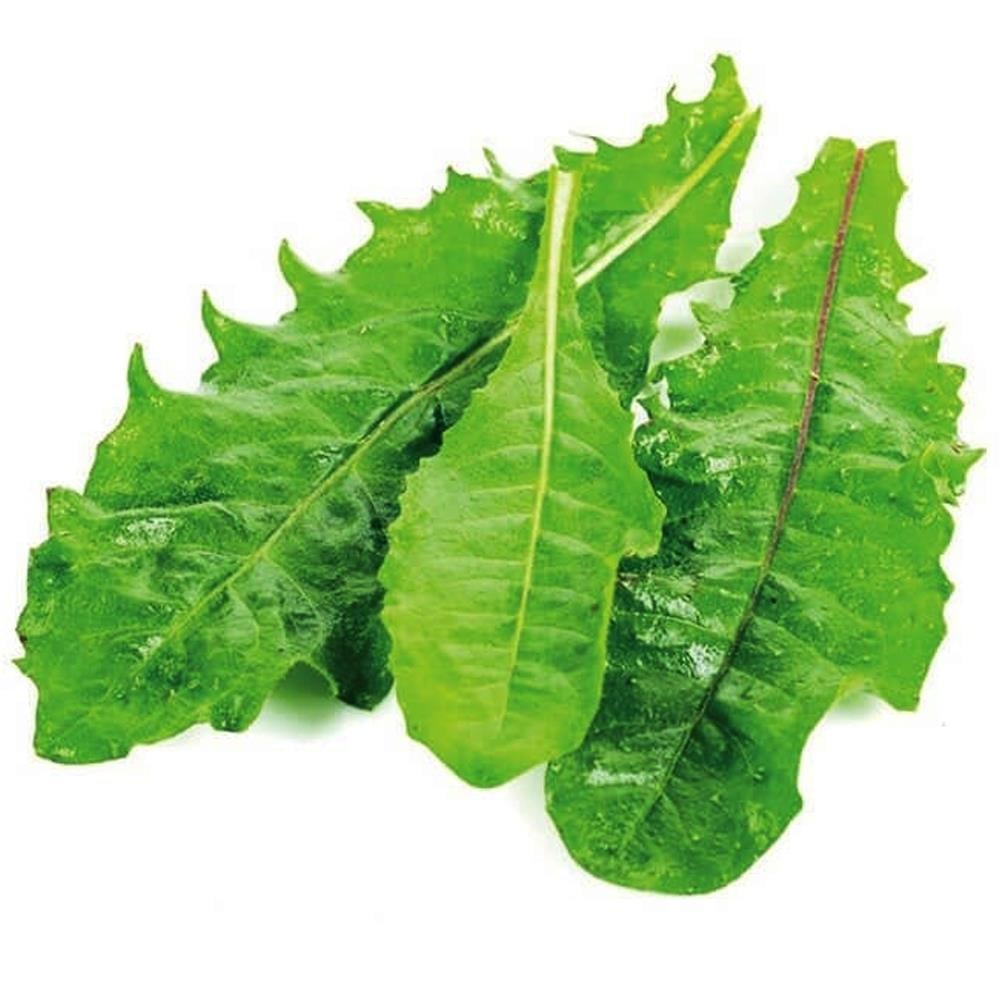 Hindibağ (150 gr) Greenada