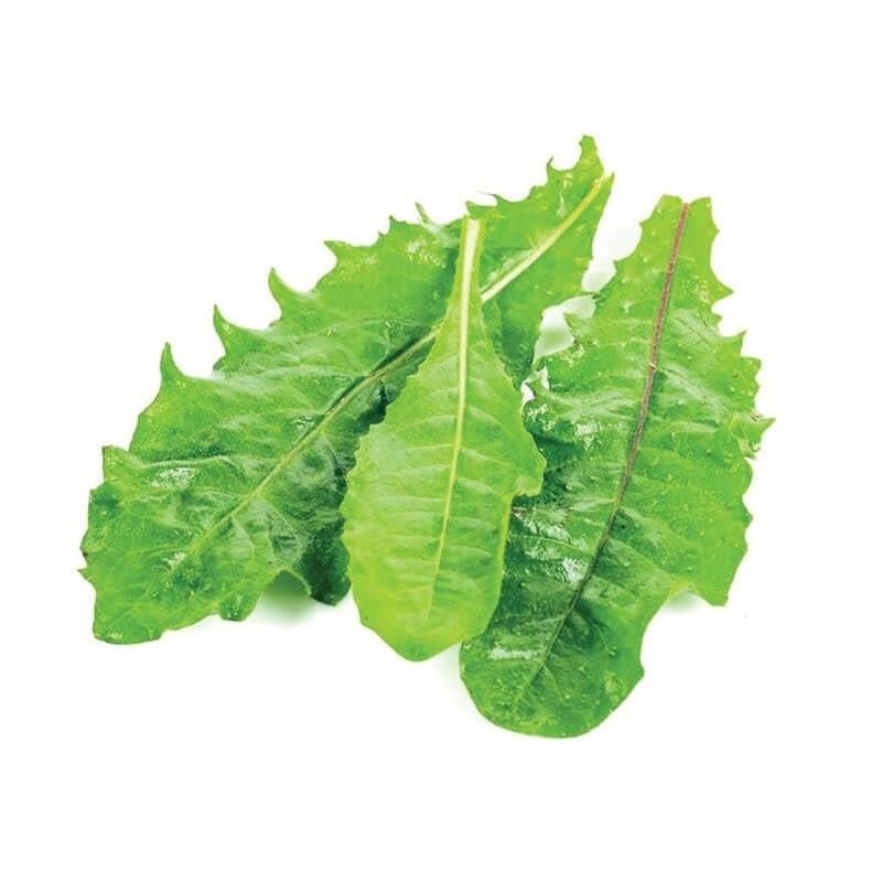 Hindibağ (150 gr) Greenada