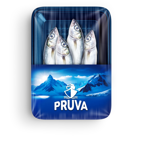 İstavrit (500 gr) Pruva