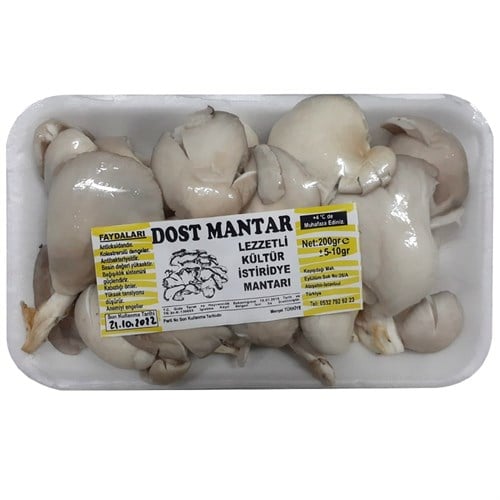 İstiridye Mantarı (200 gr)
