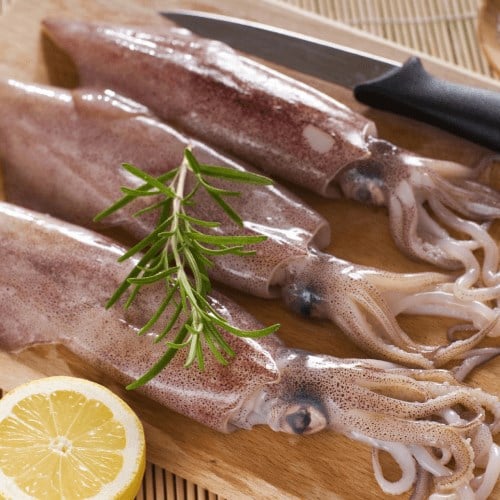 Kalamar Taze (500 gr) Balık Ye