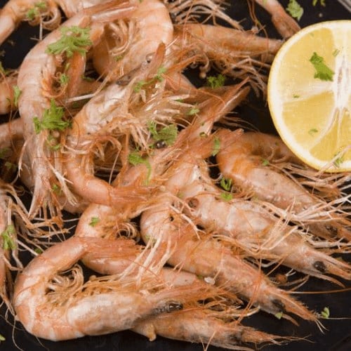 Karides, Kırmızı (500 gr) Balık Ye