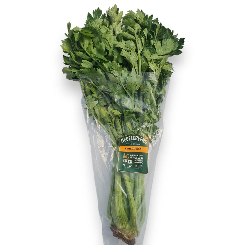 Kereviz Sapı, Antalya (demet) Medel Greens