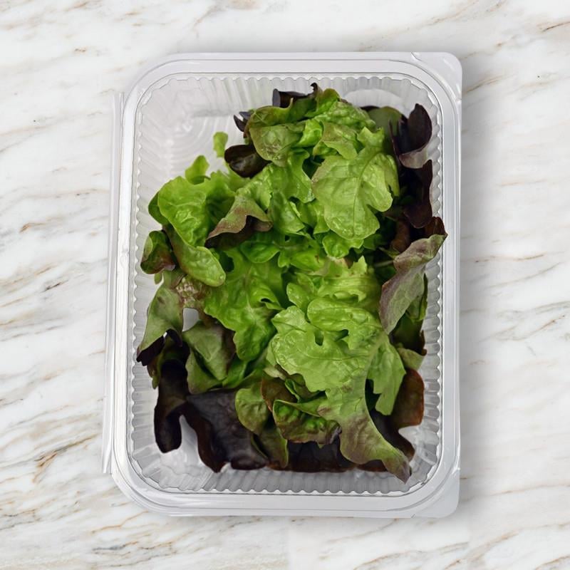Kırmızı Palamut (100 gr) Medel Greens