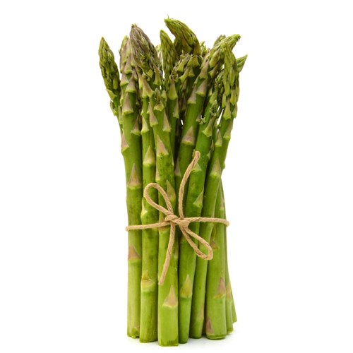 Kuşkonmaz (300 gr) Excelente