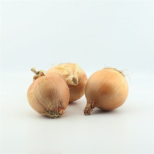 Lekeli ve Çatlak Kuru Soğan (kg)