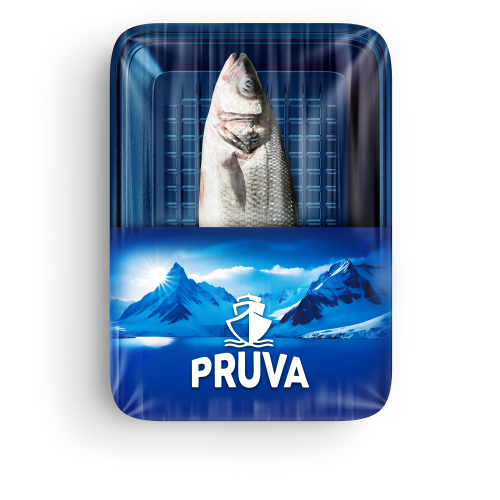 Levrek (400-600 gr) Pruva