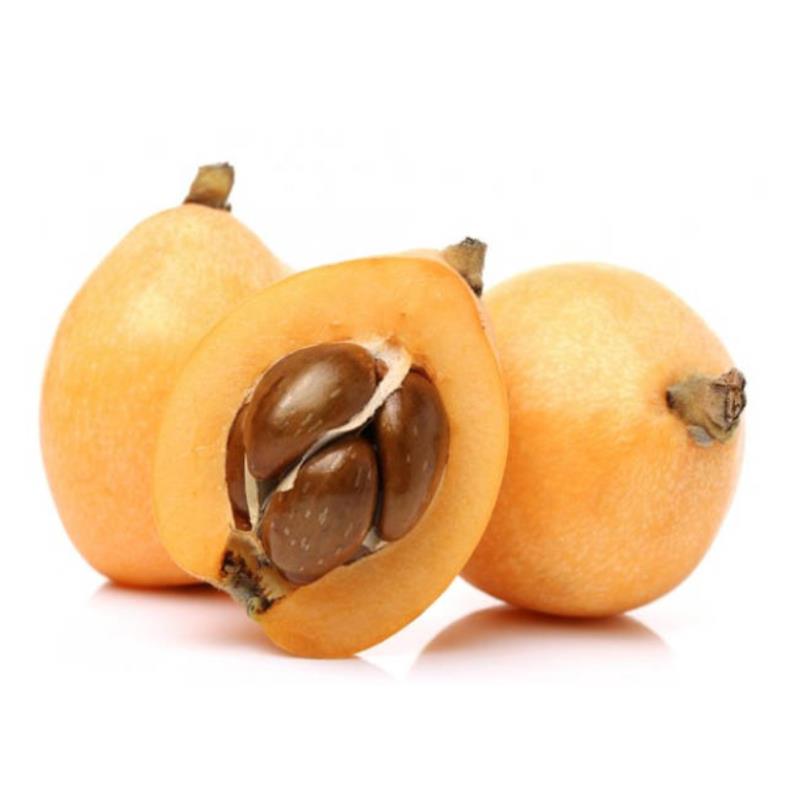 Malta Eriği Lux ,Mersin (500 gr paket)