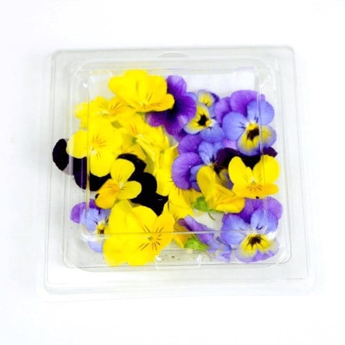 Menekşe Çiçeği (20'li paket) Erüst